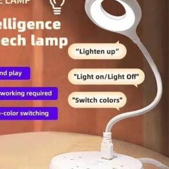 Voice control light
