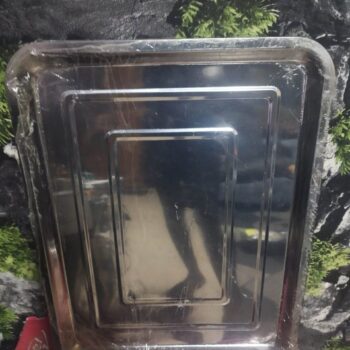 Stainless tray
